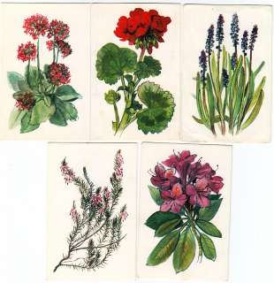 Collection of 23 Vintage Flower Cards from the 1960s  