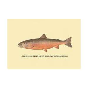  The Sunapee Trout 12x18 Giclee on canvas