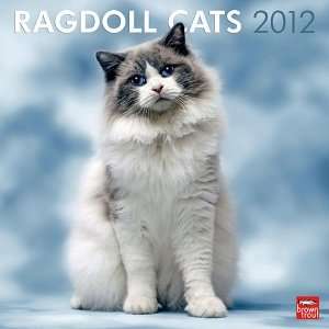 RAGDOLL CATS Wall Calendar 2012