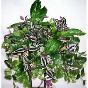    Mixed Wandering Jew, Philodendron Ledge Shelf Plant