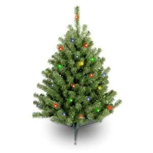  Eastern Spruce Tree with Multicolor Lights   3 Foot