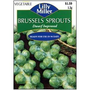  Brussel Sprouts Dwarf Improved Patio, Lawn & Garden