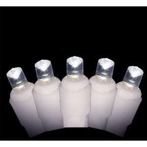 5mm LED Wide Angle Cool White Prelamped Light Set, White 