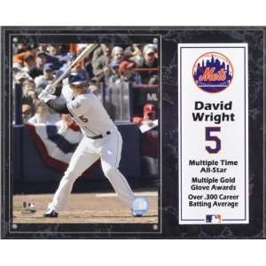  David Wright 12x15 Player Plaque