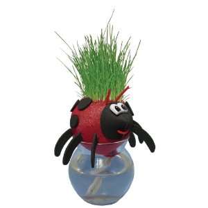  Grow A Head Bugs Lady Bug Toys & Games