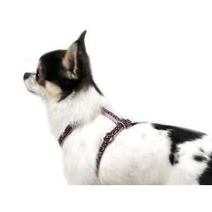   Parisian Pet Polka Dot Nylon Fashion Dog Harness 8 14 Chest Pet