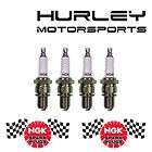 NEW NGK DPR8EA 9 Spark Plugs 4929 Qty 4 items in Hurley Motorsports 