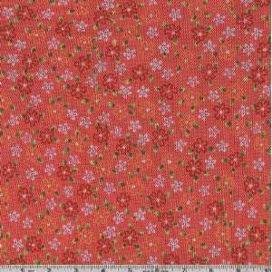  60 Wide Stretch Mesh Brianna Coral/Pink Fabric By The 