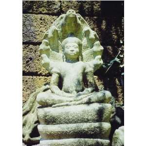  Buddha Protected by Naga