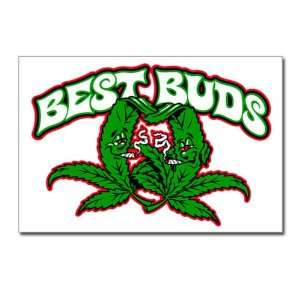  Postcards (8 Pack) Marijuana Best Buds 