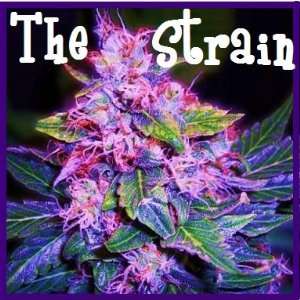  The Strain 1oz 