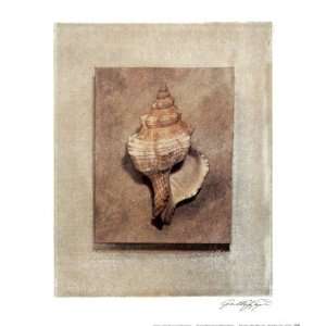  Seashell Study III by Julie Nightingale 10x12 Kitchen 
