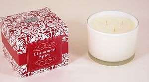   oz Cinnamon Spice Scented 3 Wick Soy Candle by Paddywax Flora & Fauna