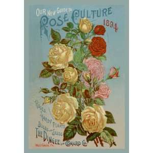  Our New Guide to Rose Culture, 1894 24X36 Giclee Paper 