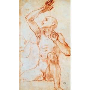   Carucci (Pontormo)   24 x 42 inches   Seated Male Nule