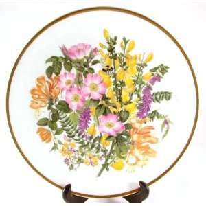  Caverswall Wildflowers plate   Mary Grierson   Lane and 