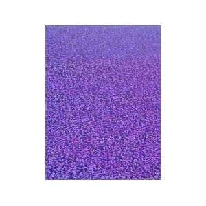  Grafix Funky Film 9x 12 12pc Grape Sequins