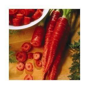    300 + Atomic Red Carrot Seeds Fresh Seed Patio, Lawn & Garden