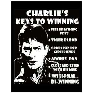  Magnet (Large) CHARLIE SHEENS Keys To WINNING 