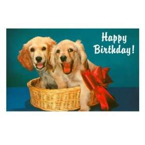  Happy Birthday, Two Spaniels in Basket Giclee Poster Print 