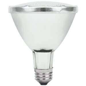   Ceramic Metal Halide Bulb (CMH70/PAR30/UVC/830/SP15)