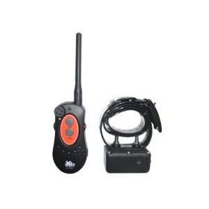  D.T. Systems H2O 1 Mile Remote Trainer with Vibration H2O 
