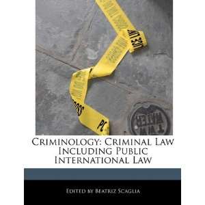   Public International Law (9781116629651) Beatriz Scaglia Books