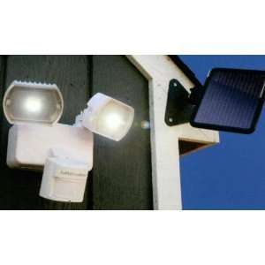    Liftmaster 815LM Motion Activated Solar Light