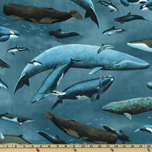  44 Wide Nature Discovery Pacific Mammals Blue Fabric By 