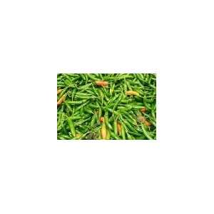 Serrano Hot Pepper Seed   1g Seed Packet Patio, Lawn 
