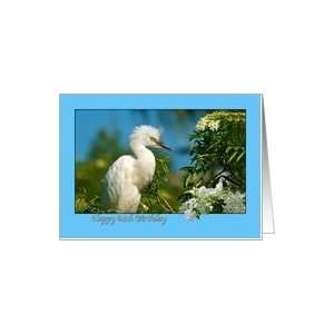    84th Birthday Card with Snowy Egret Bird Card Toys & Games