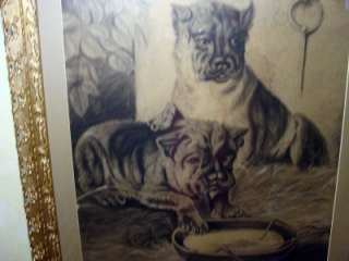 ANTIQUE STAFFORDSHIRE TERRIER DOG/PUPPY PASTEL 1800S OLD PAINTING 