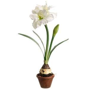  26 Amaryllis w/Bulb Silk Flower Arrangement  White (case 