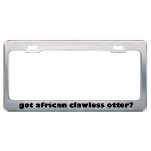 Got African Clawless Otter? Animals Pets Metal License Plate Frame 