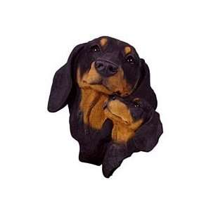  Black Dachshund with Pup Bust Statue