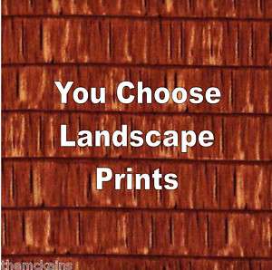 SHINGLES~Roof~YOU CHOOSE~Landscape Fabrics~10 Square  