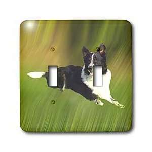  Dogs Border Collie   Border Collie   Light Switch Covers 