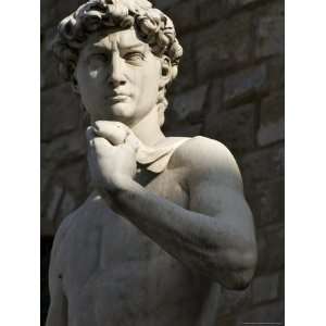 Statue of Michelangelos David Piazza Della Signoria, Florence, Italy 