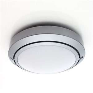   Outdoor Ceiling/Wall Light with Optional Component