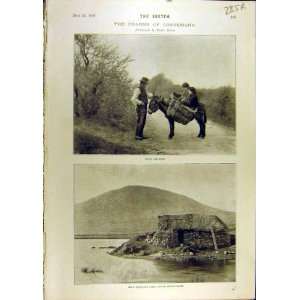  1897 Connemara Shindallagh Boat Race America University 