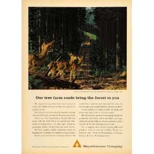  1965 Ad Weyerhaeuser Company Tree Farm Deer Pulp Paper 