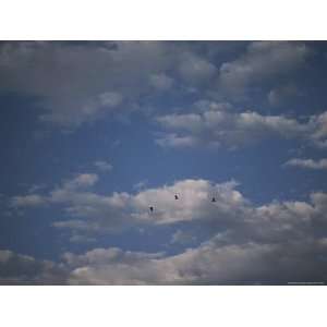  Birds Take Flight Across a Cloud Filled Sky over Leech 