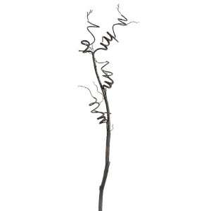  40 Curly Willow Branch Brown (Pack of 12)