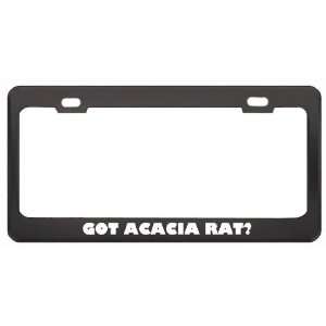 Got Acacia Rat? Animals Pets Black Metal License Plate Frame Holder 