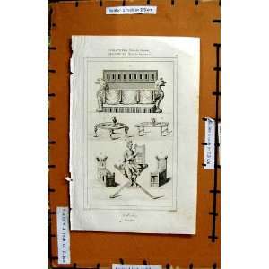    ANTIQUE ENGRAVING MAUBLES INGLATERRA SAXONNE PRINT