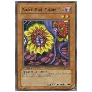  Yu Gi Oh   Magical Plant Mandragola   Structure Deck 