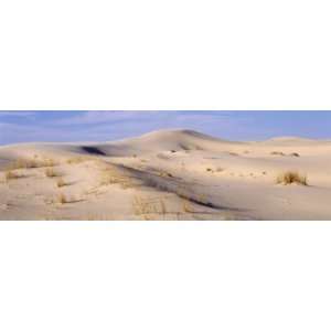 Sand Dunes on an Arid Landscape, Monahans Sandhills State Park, Texas 