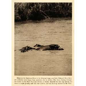  1931 Print Hippopotamus Congo Rutshuru River Lake Edward 