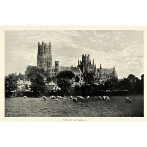  1922 Print Ely Cathedral England Tower Sheep Church Romanesque 