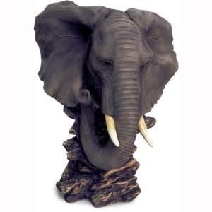 Elephant Head 11 